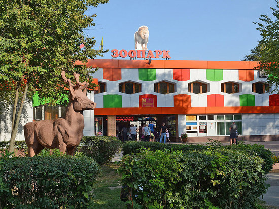 В 1973 создан Липецкий зоопарк – первый в Центрально-Чернозёмной зоне.